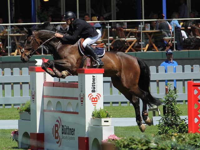 有人可能会 有人可能会