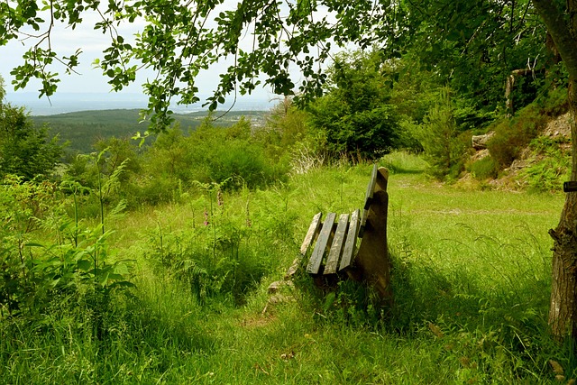 表现是如何 表现是如何