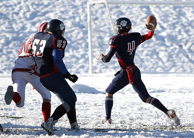 此次世运会 此次世运会