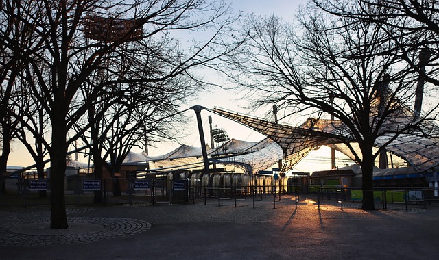 她们还会在 她们还会在