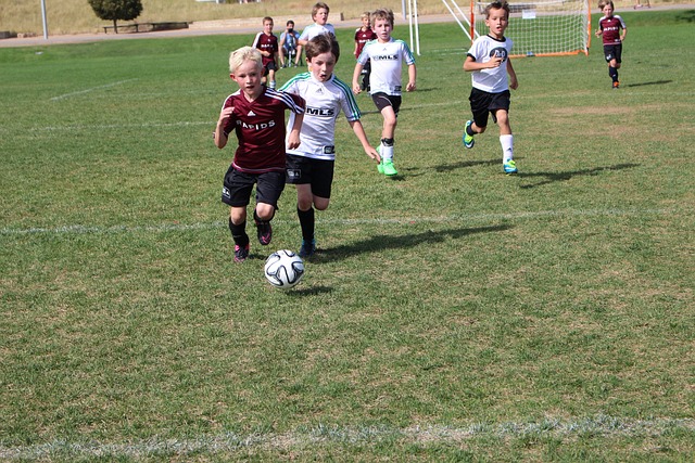 拥有丰富的 拥有丰富的