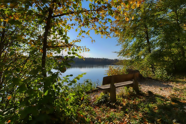 会了直面问 会了直面问